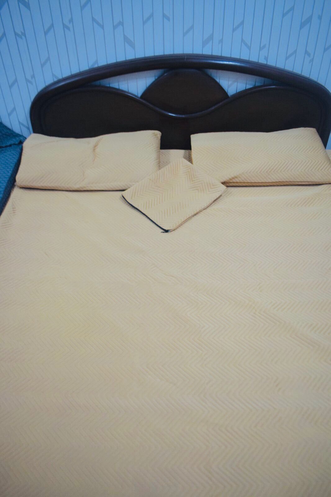 Water Proof Matters Protector With Pillow (Quilted) - Image 2