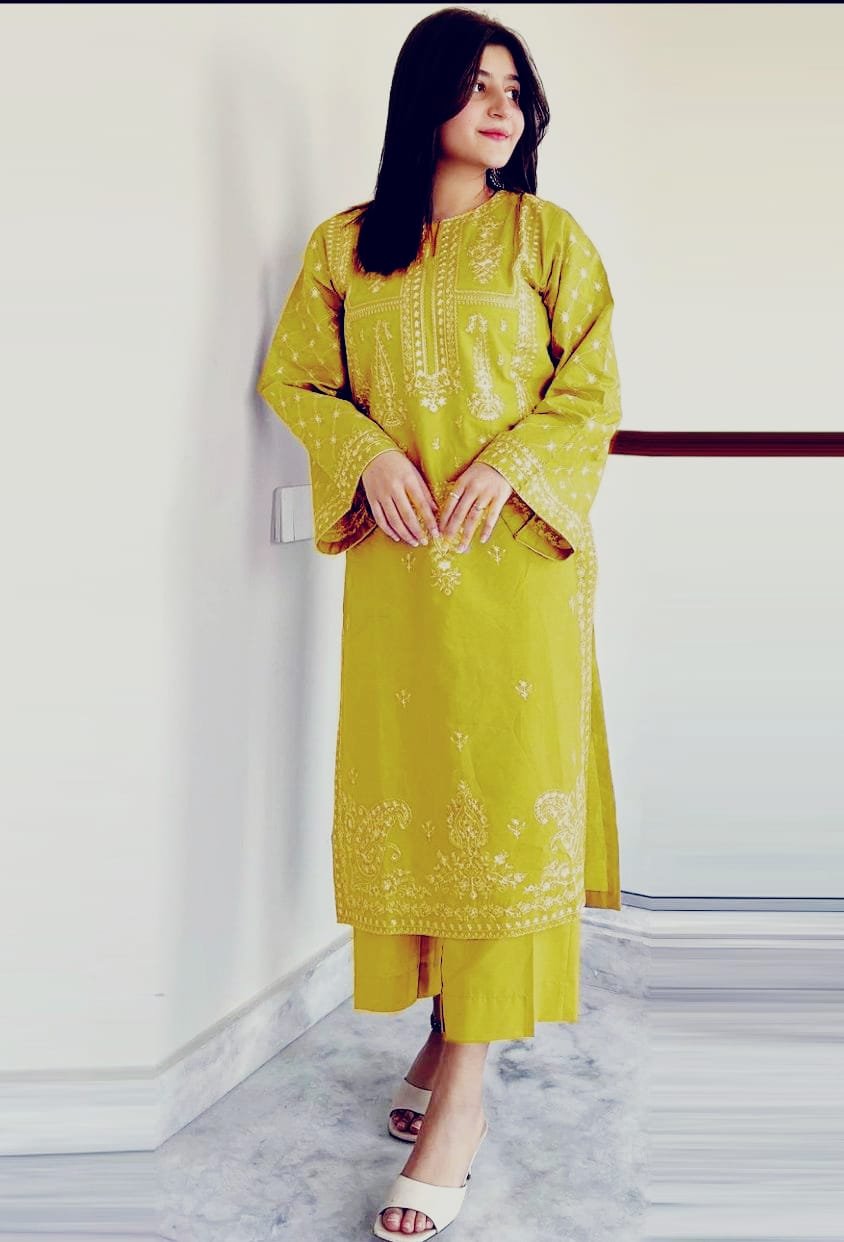 2Pc Fully Embroidered Summer Lawn (Unstitched ) - Image 14